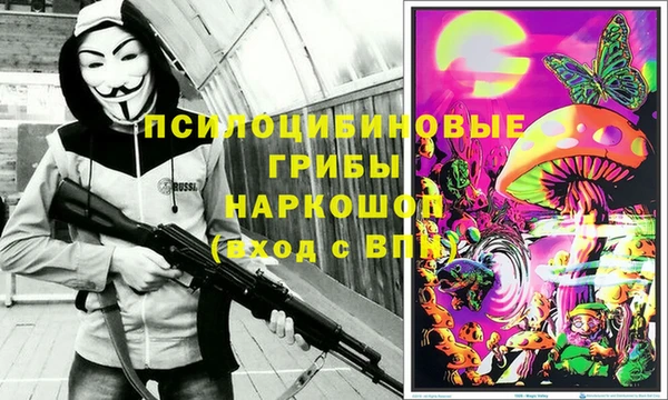 молекула духа Семёнов