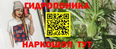 шишки Нижний Тагил