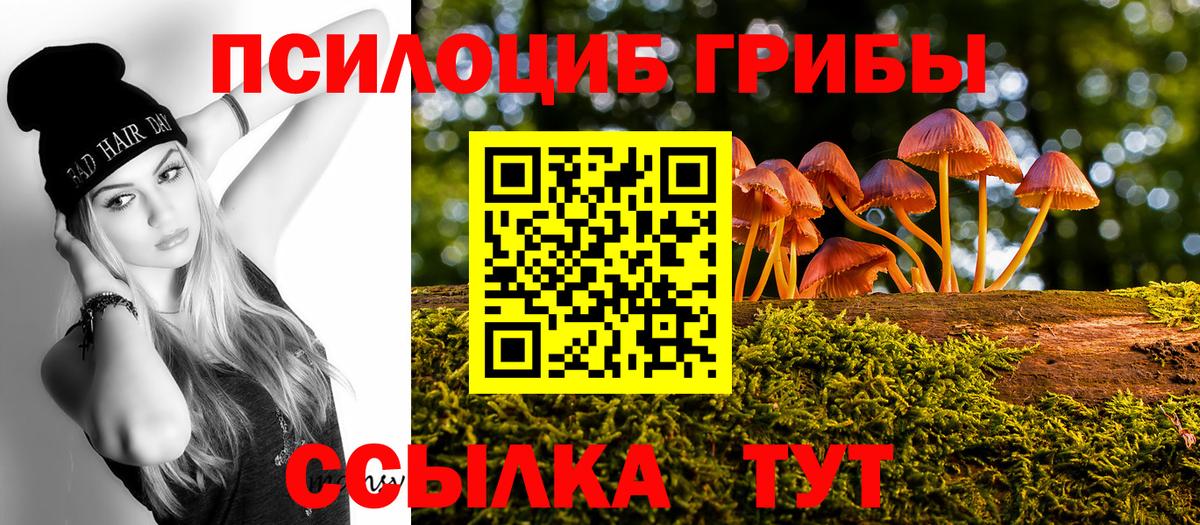 наркота  Вход с VPN  Богородицк  Псилоцибиновые грибы мухоморы 